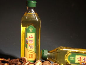 食用油選擇指南 從標簽到搭配，科學選油更健康