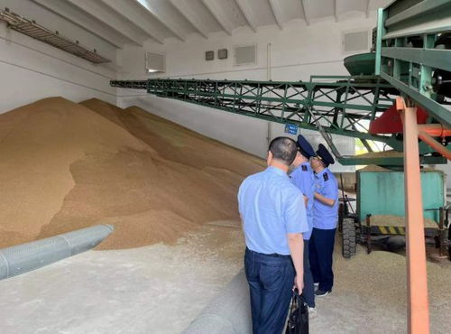 違規收購糧食被罰10萬元，南京公布一批典型案例加強糧食市場管理