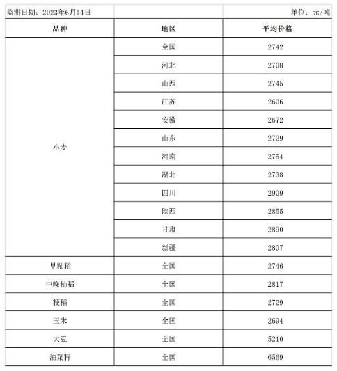 糧食市場迎來新發展趨勢，中方呼吁完善全球糧農治理體系